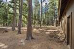 Nestled amongst towering pine trees, this property offers a serene and private retreat.