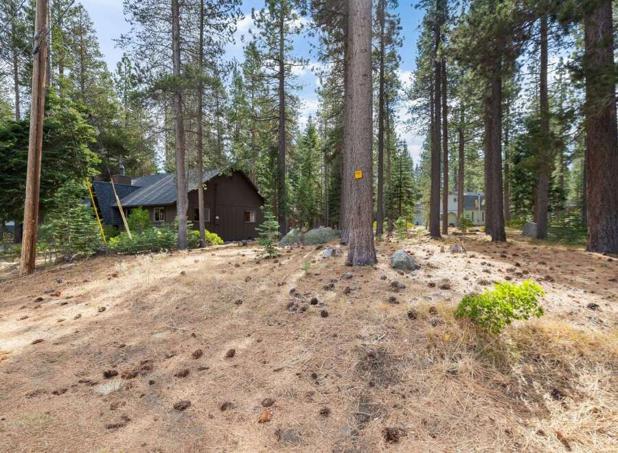 Nestled amidst towering pine trees, this charming property offers a serene retreat.
