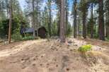 Nestled amidst towering pine trees, this charming property offers a serene retreat.