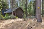 Nestled amongst towering pine trees, this charming brown cabin offers a serene retreat.