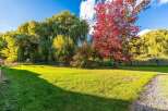 Experience the beauty of autumn with this stunning property featuring vibrant red maple trees and lush green weeping willows.