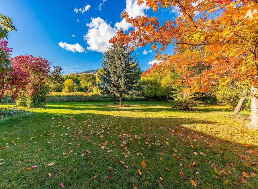 Experience the beauty of autumn with this stunning property, featuring vibrant fall foliage and a lush green lawn scattered with fallen leaves.