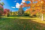 Experience the beauty of autumn with this stunning property, featuring vibrant fall foliage and a lush green lawn scattered with fallen leaves.
