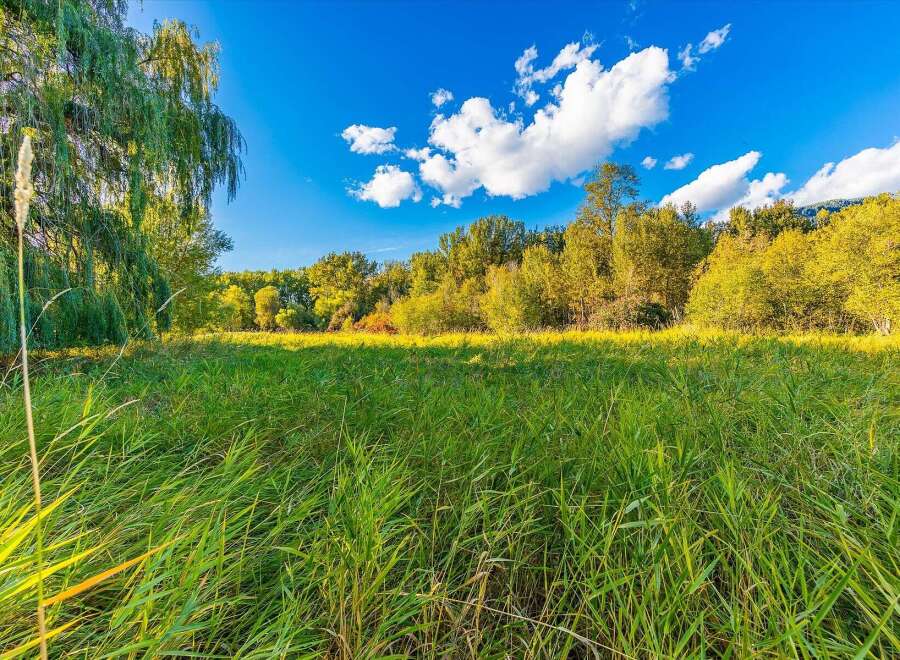 Discover this stunning natural landscape, featuring a lush green meadow bathed in sunlight, perfect for outdoor activities or simply enjoying the tranquility.