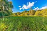 Discover this stunning natural landscape, featuring a lush green meadow bathed in sunlight, perfect for outdoor activities or simply enjoying the tranquility.