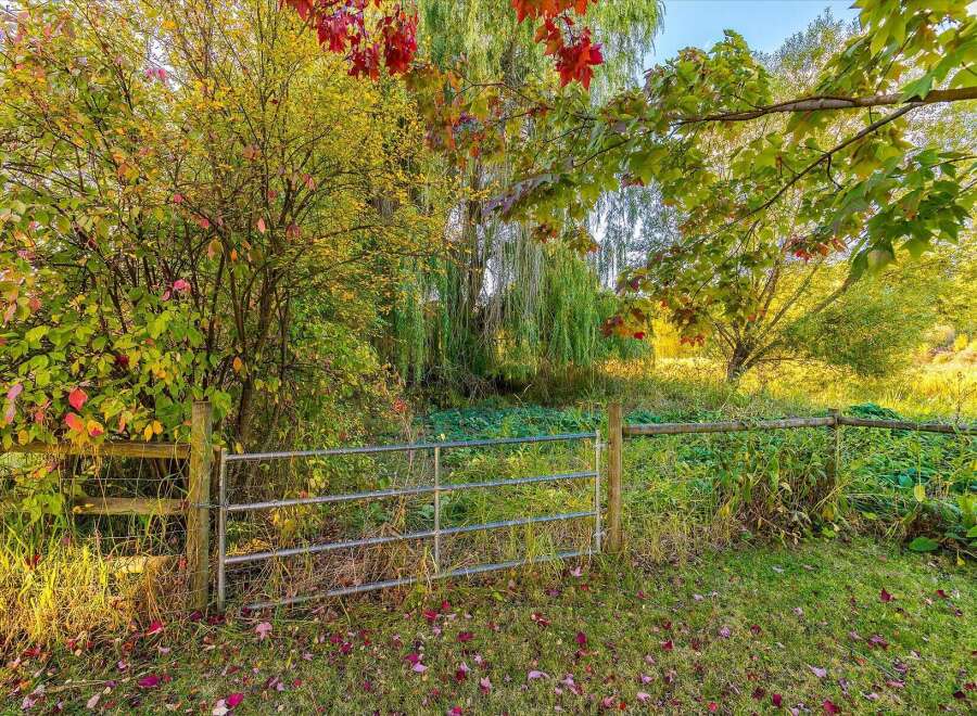 Experience the beauty of autumn with this picturesque scene featuring vibrant fall foliage and a rustic wooden fence.