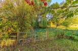 Experience the beauty of autumn with this picturesque scene featuring vibrant fall foliage and a rustic wooden fence.