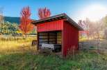 Embrace the beauty of autumn with this charming rural property.