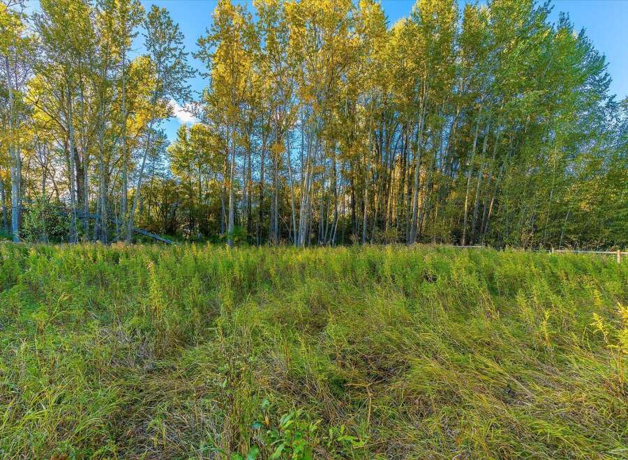 Discover the natural beauty of this property, featuring a dense line of tall trees with golden-yellow foliage, hinting at the vibrant autumn season.