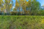 Discover the natural beauty of this property, featuring a dense line of tall trees with golden-yellow foliage, hinting at the vibrant autumn season.