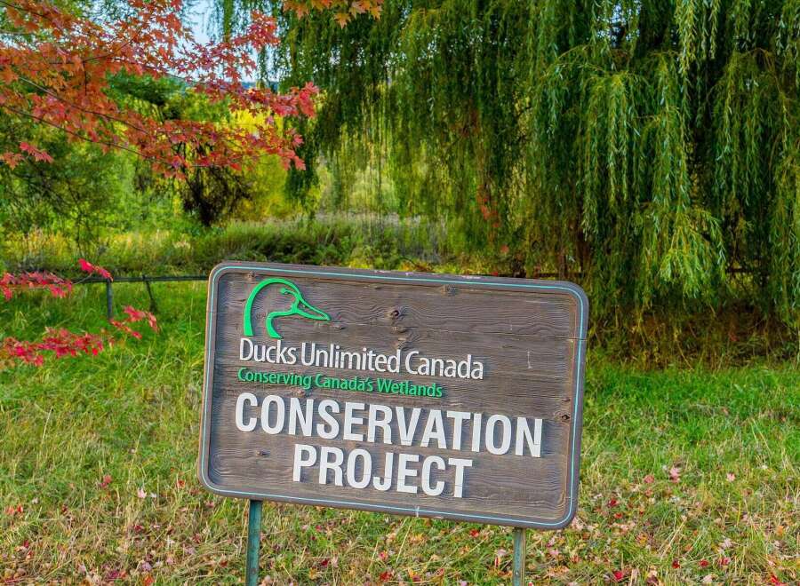 Discover this Ducks Unlimited Canada Conservation Project, dedicated to preserving Canada's wetlands.