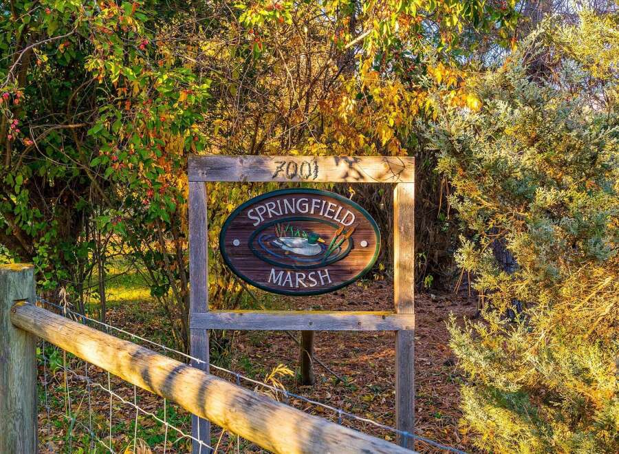 Discover the tranquility of Springfield Marsh, a unique property offering a serene natural setting.
