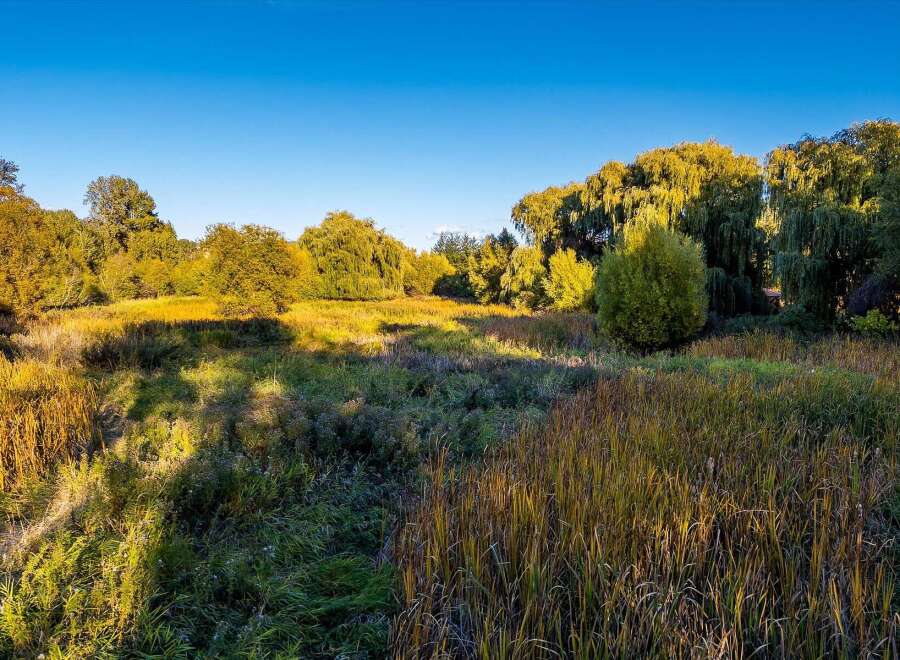 Experience the beauty of nature with this stunning landscape featuring lush greenery and vibrant fall foliage.