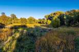 Experience the beauty of nature with this stunning landscape featuring lush greenery and vibrant fall foliage.