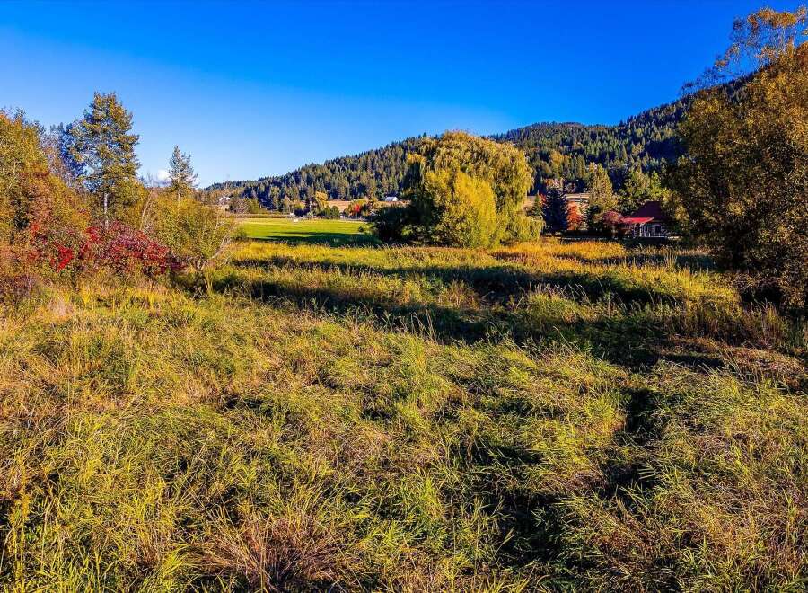 Nestled amidst the vibrant autumn foliage, this property offers a serene escape with its picturesque setting.