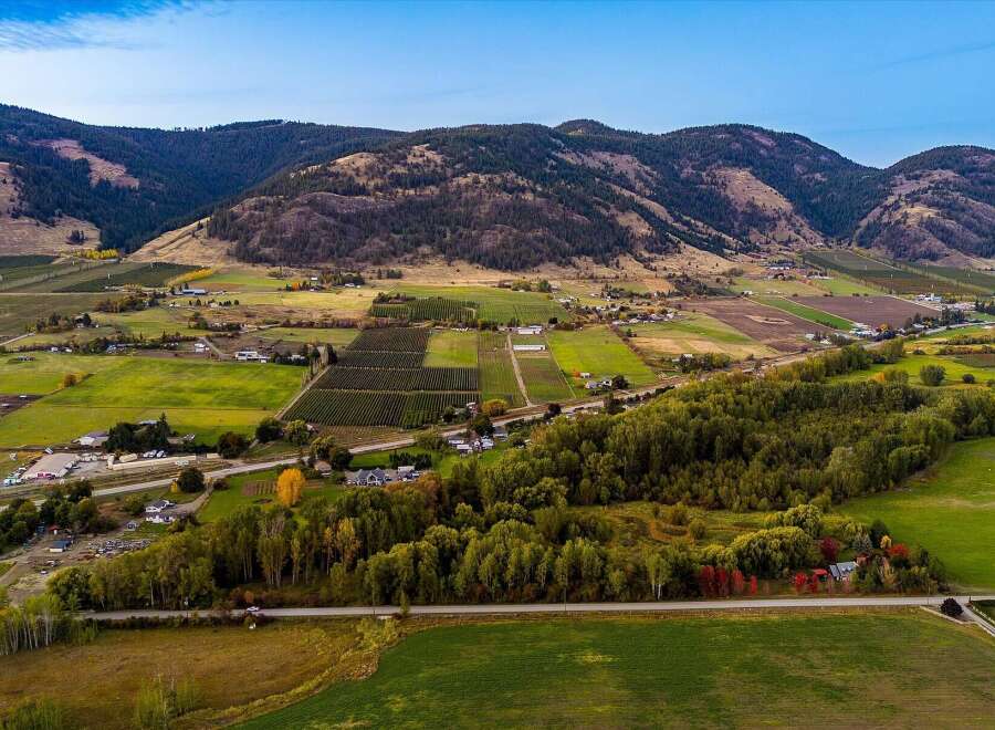 Experience the beauty of this expansive rural landscape, featuring rolling hills, lush green fields, and meticulously maintained vineyards.