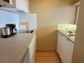 This compact kitchen features a sleek induction stovetop, a modern coffee maker, and a stainless steel electric kettle, perfect for quick meals and beverages.