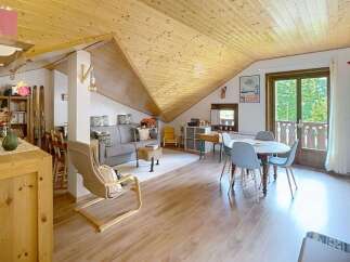 Experience cozy living in this charming attic apartment, featuring a warm wooden ceiling and a comfortable living area with a grey sofa and accent pillows.