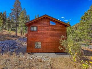 Nestled amidst tall pine trees, this charming wooden cabin offers a serene mountain retreat.