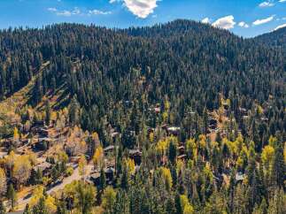 Nestled amidst a dense forest of evergreen and deciduous trees, this aerial view showcases a charming mountain community.
