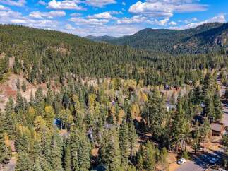 Nestled amidst a dense forest of evergreen and deciduous trees, this property offers a serene mountain retreat.