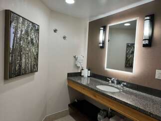 This modern bathroom features a sleek granite countertop with an undermount sink and chrome fixtures.