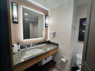 This modern bathroom features a sleek granite countertop with an undermount sink and elegant chrome fixtures.