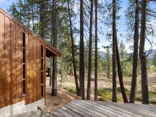 Experience rustic charm in this wooden cabin nestled amongst tall pine trees.