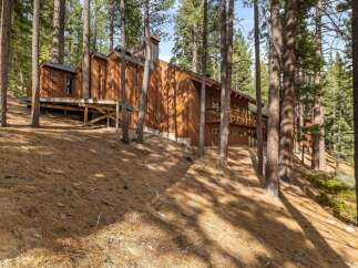 Nestled amidst tall pine trees, this stunning wooden home offers a serene retreat.