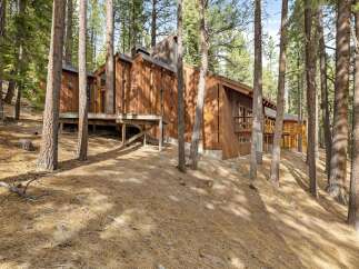Nestled amongst tall pine trees, this modern wooden home offers a unique architectural design with expansive windows and multiple decks.