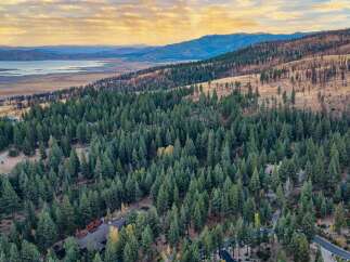 Experience the serene beauty of this expansive property, nestled amidst a lush forest with breathtaking views of a distant lake and mountains.