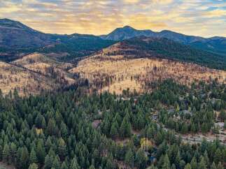 Nestled amidst a lush pine forest, this property offers a serene escape with stunning mountain views.