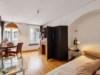 This charming studio apartment features a versatile layout with a dedicated workspace and a comfortable sleeping area.