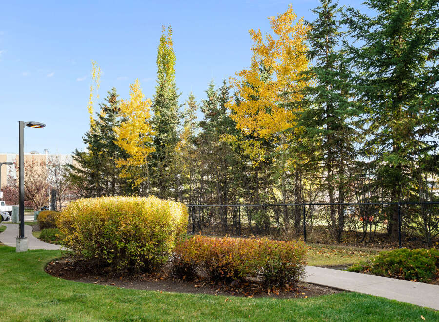 Enjoy the vibrant autumn colors surrounding this property, with lush green lawns and a winding pathway leading through beautifully manicured bushes.