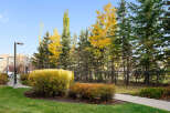 Enjoy the vibrant autumn colors surrounding this property, with lush green lawns and a winding pathway leading through beautifully manicured bushes.