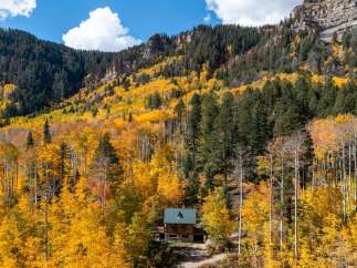 Nestled amidst a vibrant autumn forest, this charming log cabin offers a serene mountain retreat.