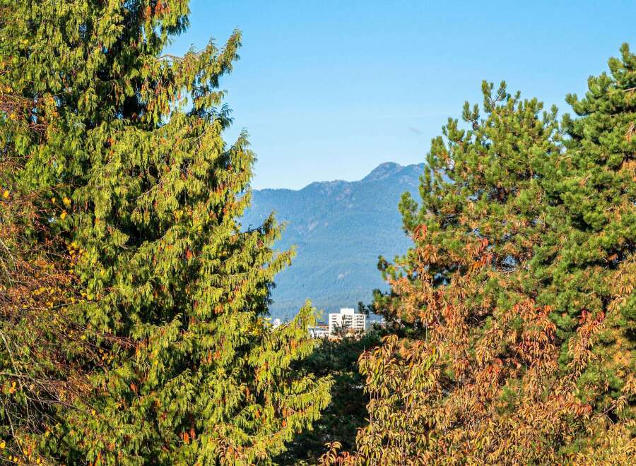 Experience the beauty of nature with this stunning property, offering breathtaking views of lush green trees and majestic mountains.