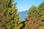 Experience the beauty of nature with this stunning property, offering breathtaking views of lush green trees and majestic mountains.
