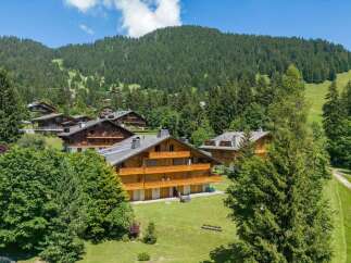 Experience the charm of alpine living in this stunning wooden chalet, nestled amidst lush green lawns and surrounded by a dense forest.