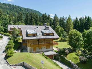 Nestled amidst lush greenery and towering pine trees, this charming wooden chalet offers a serene mountain retreat.