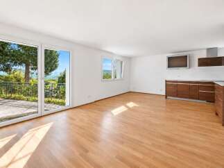 Experience modern living in this spacious apartment featuring a sleek, contemporary kitchen with rich wood cabinetry and integrated appliances.