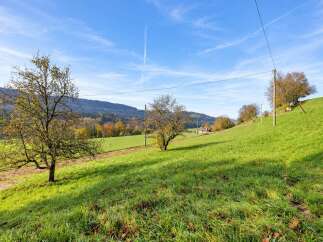 Discover this picturesque property nestled in a serene rural landscape, perfect for those seeking tranquility and natural beauty.