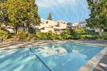 Enjoy a refreshing dip in the sparkling blue swimming pool, surrounded by lush greenery and mature trees.