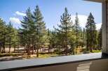 Experience the serene beauty of a mountain retreat with this stunning view of a dense pine forest.