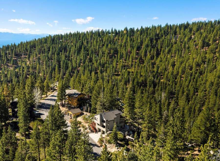 Nestled amidst a dense forest of pine trees, this property offers a serene and private retreat.