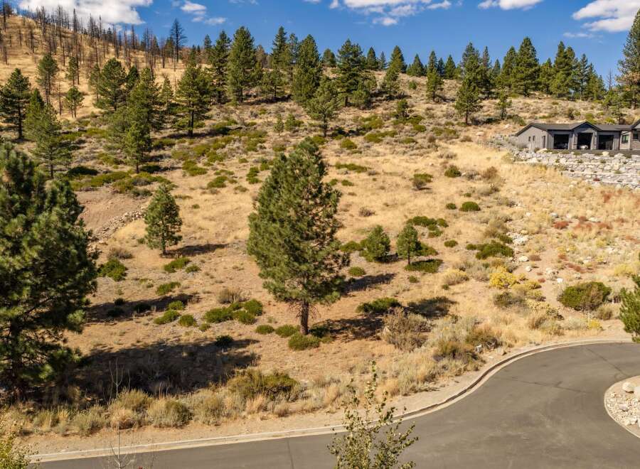 Discover modern luxury nestled in a serene, natural landscape.