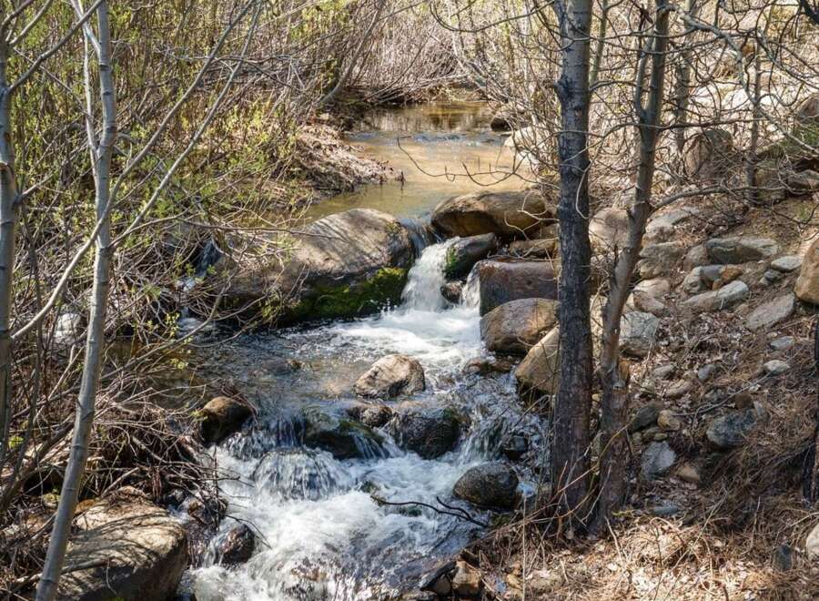 Discover tranquility in this serene natural setting, featuring a babbling brook winding through lush greenery and mature trees.