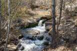 Discover tranquility in this serene natural setting, featuring a babbling brook winding through lush greenery and mature trees.