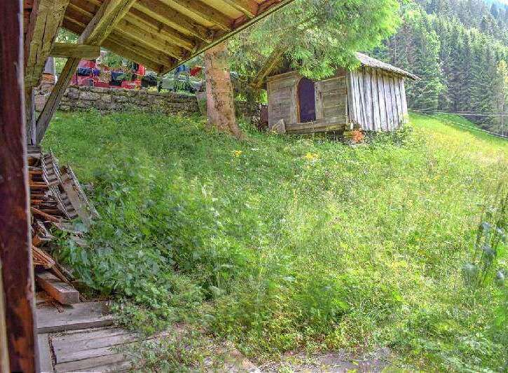 Rustic mountain property with charming wooden shed and expansive green space.