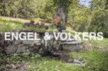Discover tranquility at this charming property featuring a rustic stone water fountain, nestled amidst lush greenery and flowering plants.